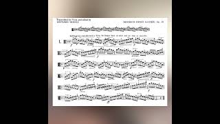 Kayser Op20 Viola Studies No1 [upl. by Einahpets875]