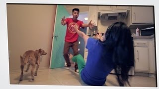 Id Rather Have A Dog Than A Girlfriend Bloopers amp Behind The Scenes [upl. by Anaigroeg811]