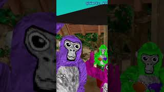 Dapping up gtag creators partcdopapiGT gorillatag vr short [upl. by Dnyletak458]