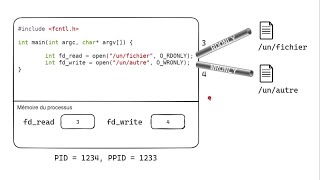 Tuto programmation Linux  appels systèmes  open read write fork pipe [upl. by Ecad]