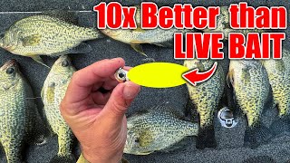 this New Lure OUT FISHES Live Bait 10 to 1 BEST Crappie amp Bass Winter Bait [upl. by Ardie]