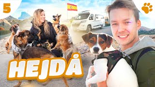 RÄDDAR HEMLÖS HUND I SPANIEN  DEL 5  S1 [upl. by Omrellug]