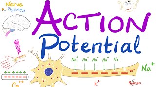 Action Potential  Most COMPREHENSIVE Explanation  Nerve Physiology [upl. by Earas815]