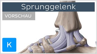 Sprunggelenk  Aufbau Bänder und Funktion Vorschau  Kenhub [upl. by Evatsug]