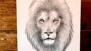 tutorial come disegnare un leone se non sai disegnare Parte prima  schema di base [upl. by Gautious570]