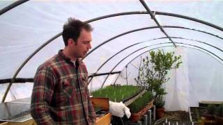 11 Ways to Regulate the Temperature in the Greenhouse [upl. by Eisen]