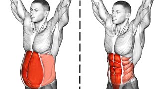 Abs Workout Abdominal Exercises [upl. by Airdnalahs]