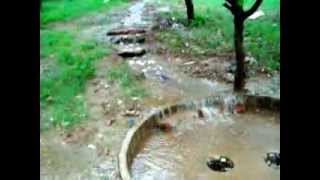 Rain Water Harvesting 1 [upl. by Suilienroc]