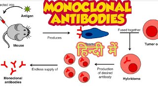 Monoclonal antibodies amp their production in hindi [upl. by Damarra328]