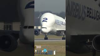 Airbus Beluga Takeoff [upl. by Riek]