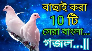 বাছাইকরা ১০ টি সেরা বাংলা গজল  ইসলামিক গজল শান্তির বাণী EarningWallah gojol [upl. by Leverett]