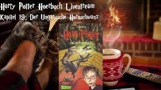 Harry Potter und der Feuerkelch LIVESTREAM Deutsch 7 podcast Harry Potter Hörbuch zum Einschlafen [upl. by Jehias]