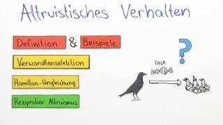 Altruistisches Verhalten  Biologie  Neurobiologie und Verhalten [upl. by Asselim305]