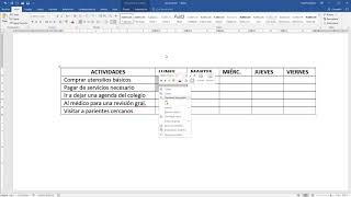 Cómo hacer un cronograma de actividades en Word [upl. by Olcott487]