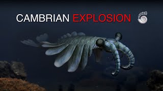 Cambrian Explosion of Animalia [upl. by Nelrsa832]