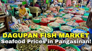 DAGUPAN FISH MARKET TOUR  Pangasinan’s Biggest Seafood Market Prices this August 2024  Philippines [upl. by Cinimod]