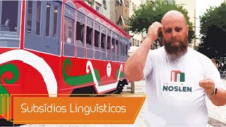 Subsídios Linguísticos Prof Noslen [upl. by Llieno]