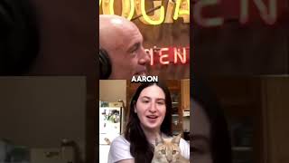 CAT IDENTIFIES as father joerogan cat [upl. by Ferdie]