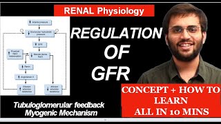 Regulation of GFR  Tubuloglomerular Feedback  Myogenic Mechanism  Renal Physiology [upl. by Culliton519]