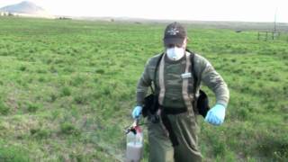 New Herbicides in Fireweed Management [upl. by Avin]