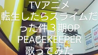 STEREO DIVE FOUNDATION／PEACEKEEPER 歌ってみた【うたスキ動画】 [upl. by Lynett]