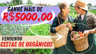 GANHE 5 MIL POR MÊS VENDENDO CESTAS DE FRUTAS E VERDURAS  DANIEL BARONI [upl. by Fitz]