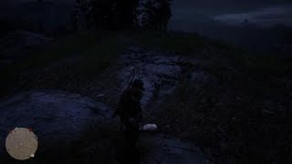 RDR2 Guaranteed Badger Spawn [upl. by Yleen]