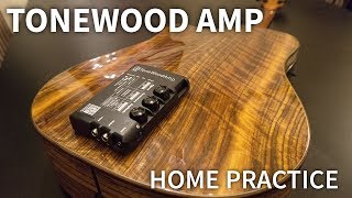 How does the TONEWOOD AMP impact practice at home [upl. by Concepcion]