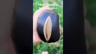 ASMR Satisfying Relaxing with Cutting Sound shorts BRIGUERA VLOGZ [upl. by Gilleod]