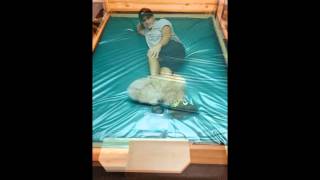 Essence Hardside Mattress Wave Test [upl. by Suidualc]