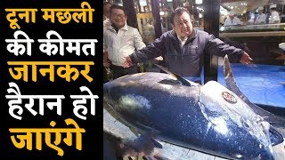 World में आखिर Tuna Fish इतनी महंगी क्यों है [upl. by Davidoff]