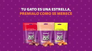 NUEVO Whiskas® Snacks [upl. by Aldwin18]