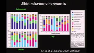 Keynote 1 Diversity Stability and Resilience of the Microbiome  David Relman [upl. by Ynatil]