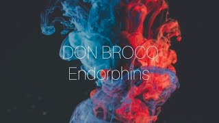 DON BROCOEndorphins Lyrics [upl. by Eda181]