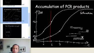 1B quantitative PCR introduction B [upl. by Nosae]