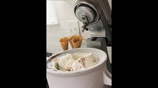 How to Use Kitchenaid Ice Cream Maker [upl. by Catto290]