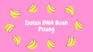 Isolasi DNA Buah Pisang Sederhana  Dyah Aulia Pandirasasti  Biologi A Universitas Brawijaya [upl. by Panthea]