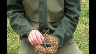 Comment se débarrasser facilement des taupes dans votre jardin [upl. by Einahpts177]