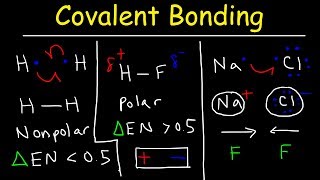 Polar Covalent Bonds and Nonpolar Covalent bonds Ionic Bonding  Types of Chemical Bonds [upl. by Irb511]