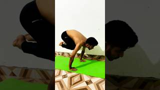 Bakasana yoga yogapractice yogapose youtube ytshorts yogaworkout yoga everyday motivation [upl. by Maryrose]