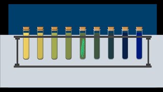 How To Observe Photosynthesis and Respiration Using a pH Indicator [upl. by Prunella55]