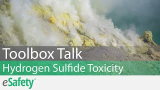 2 Minute Toolbox Talk Hydrogen Sulfide Toxicity [upl. by Ydassac975]