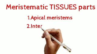 Definition of meristematic Tissue and its classification  Define apical meristems  study [upl. by Tekla]