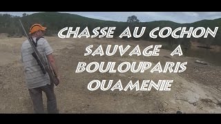 Chasse au cochon sauvage Nouvelle CalédonieBouloupari Ouaménie [upl. by Sharla476]