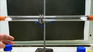 Ammonia and hydrogen chloride diffusion experiment [upl. by Ilojne]