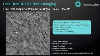 Reproductive Tissues  Label free 3D Live Tissue Imaging [upl. by O'Mahony124]