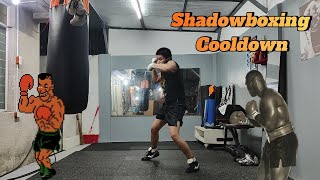 Post Training Shadowboxing Peekaboo Style [upl. by Nosak433]