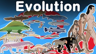 Awesome Human Evolution Timelapse [upl. by Ardnauqal]