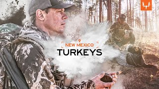 MeatEater  New Mexico Turkey [upl. by Neelyahs]