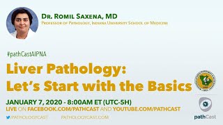 Liver pathology lets start with the basics  Dr Saxena Indiana LIVERPATH [upl. by Leehar]